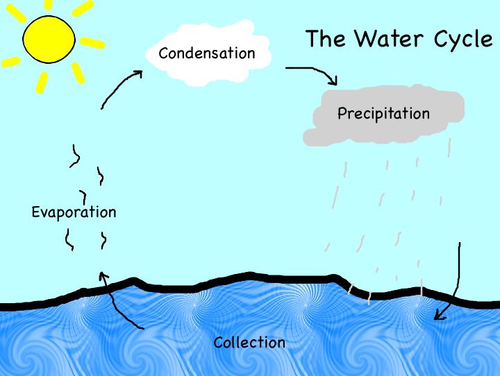 water cycle primary homework help