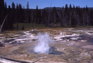 yellowstone